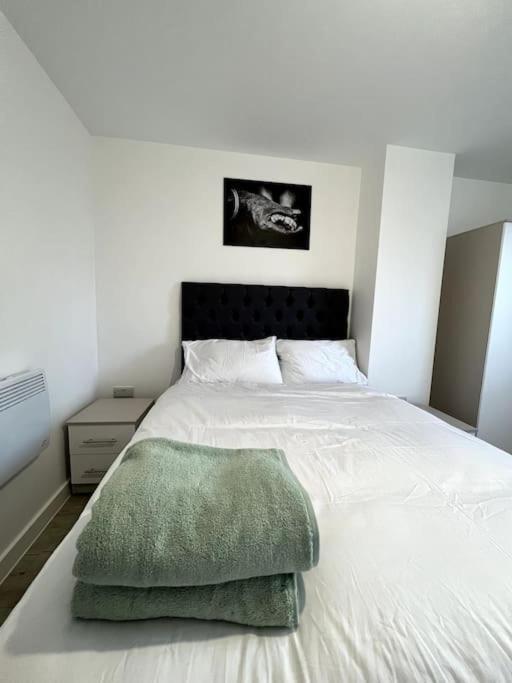 מנצ'סטר Luxurious City View Apartment In Salford מראה חיצוני תמונה